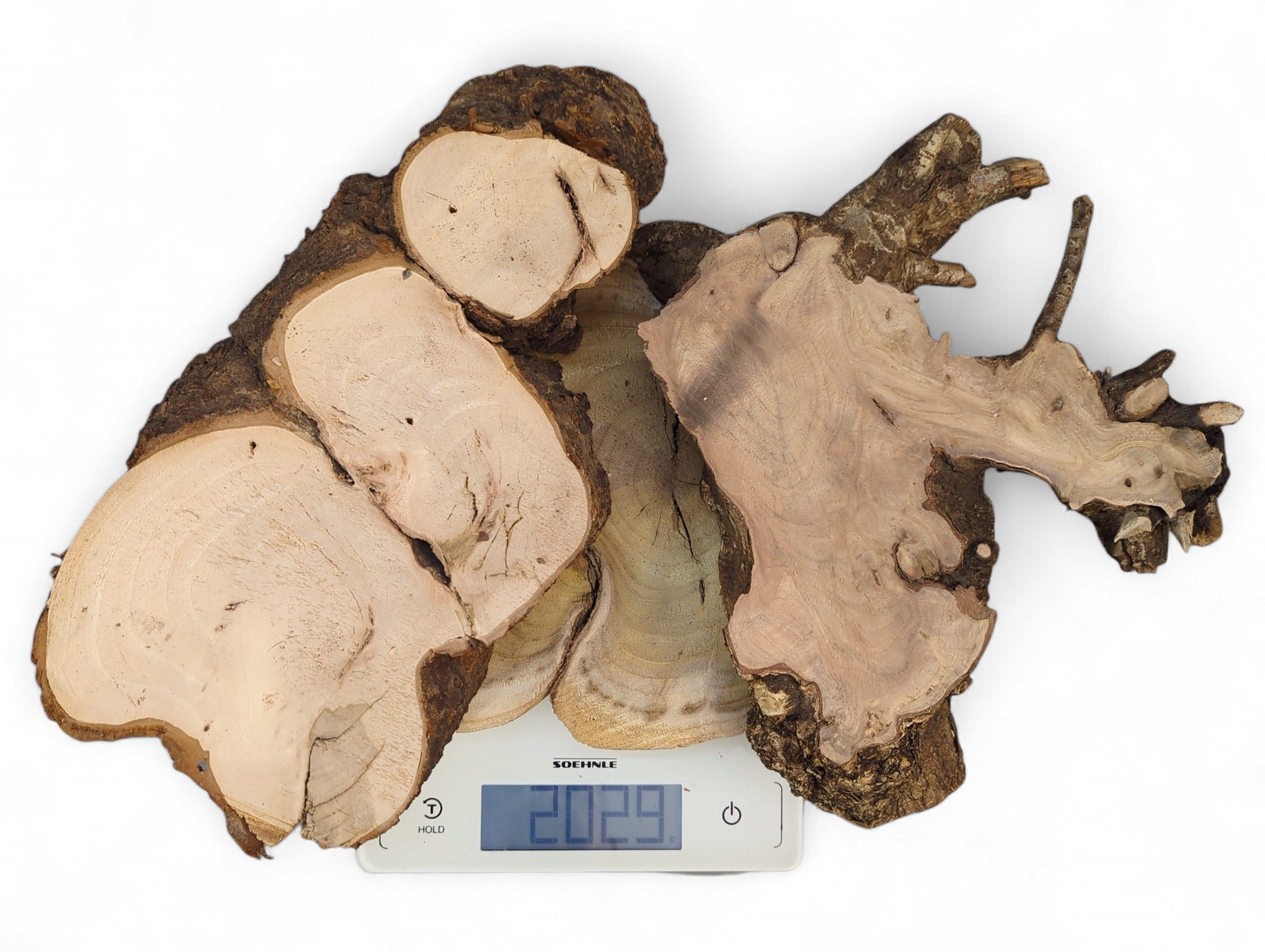 Several irregular wood slices, sanded, with bark edges, lie on a scale displaying 2029.
