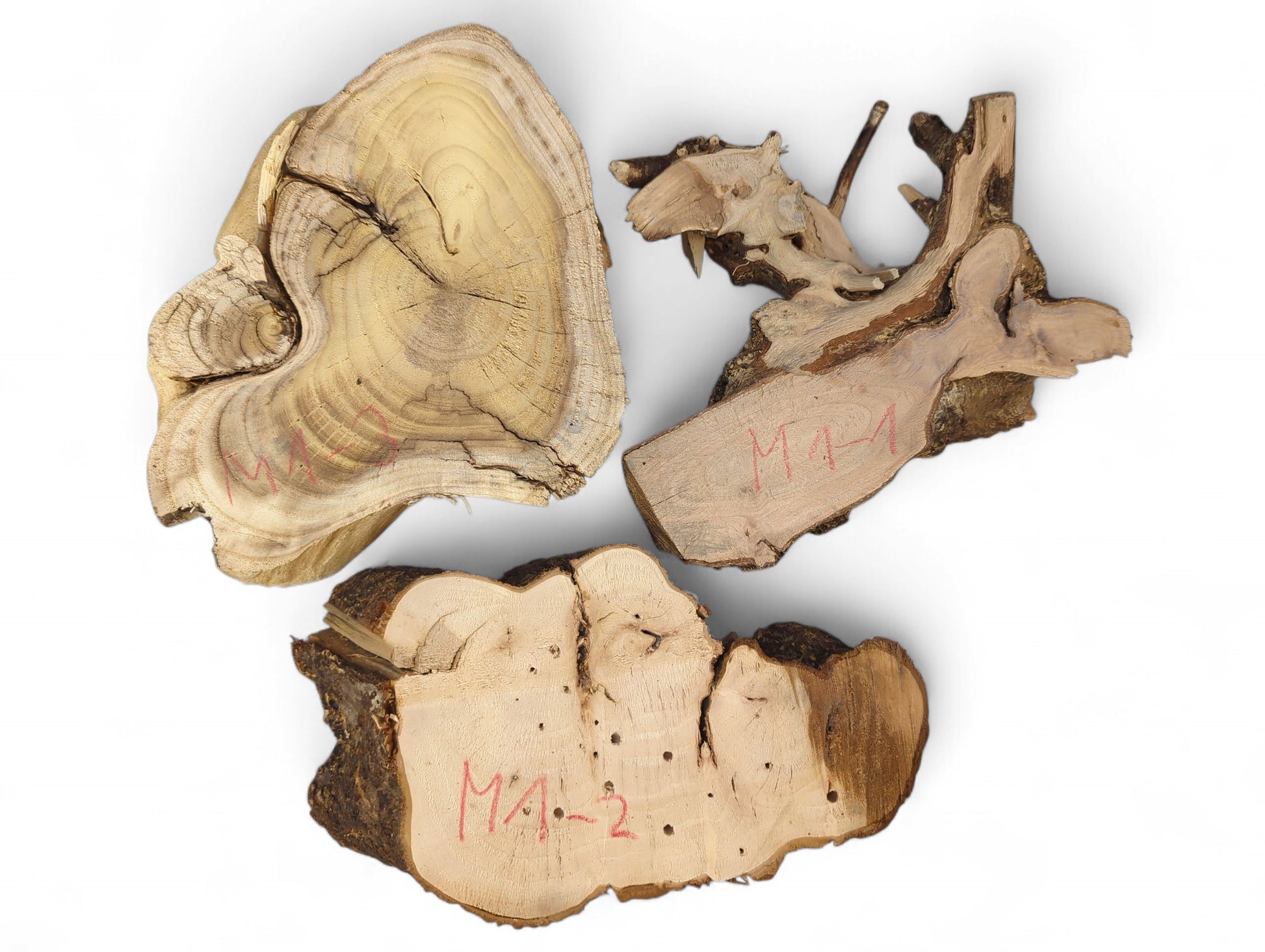 Three irregular, sanded light-brown wood pieces with dark bark edges show grain, cracks, and red identifiers.