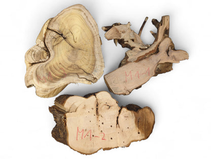 Three irregular, sanded light-brown wood pieces with dark bark edges show grain, cracks, and red identifiers.