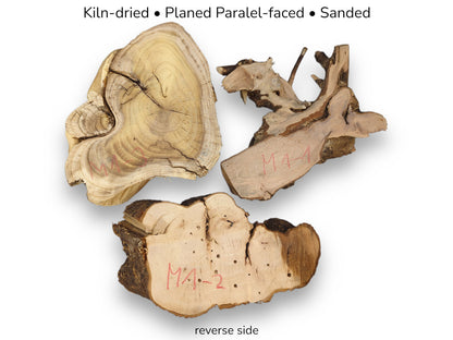 Three irregular timber slabs with red markings show cracks, a root cluster, and boreholes.