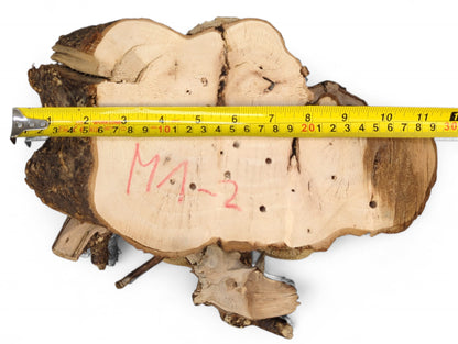 An irregular, light brown wood slice with a sanded top, rough bark edge, and a measuring tape.