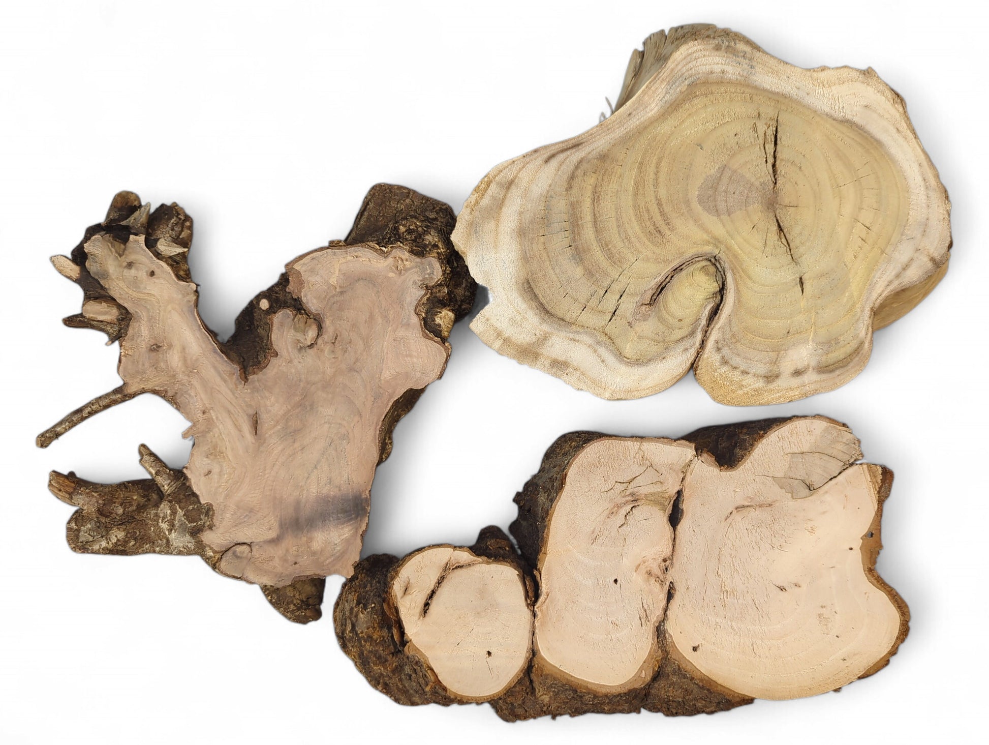 Varied raw wood slices, planed and sanded, showing three light faces and dark, rough bark edges.