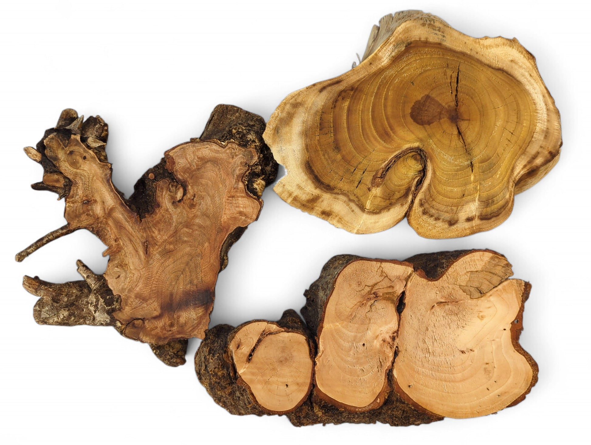 A set of three light-colored, irregular wood slices, planed, sanded, with rough, dark bark.
