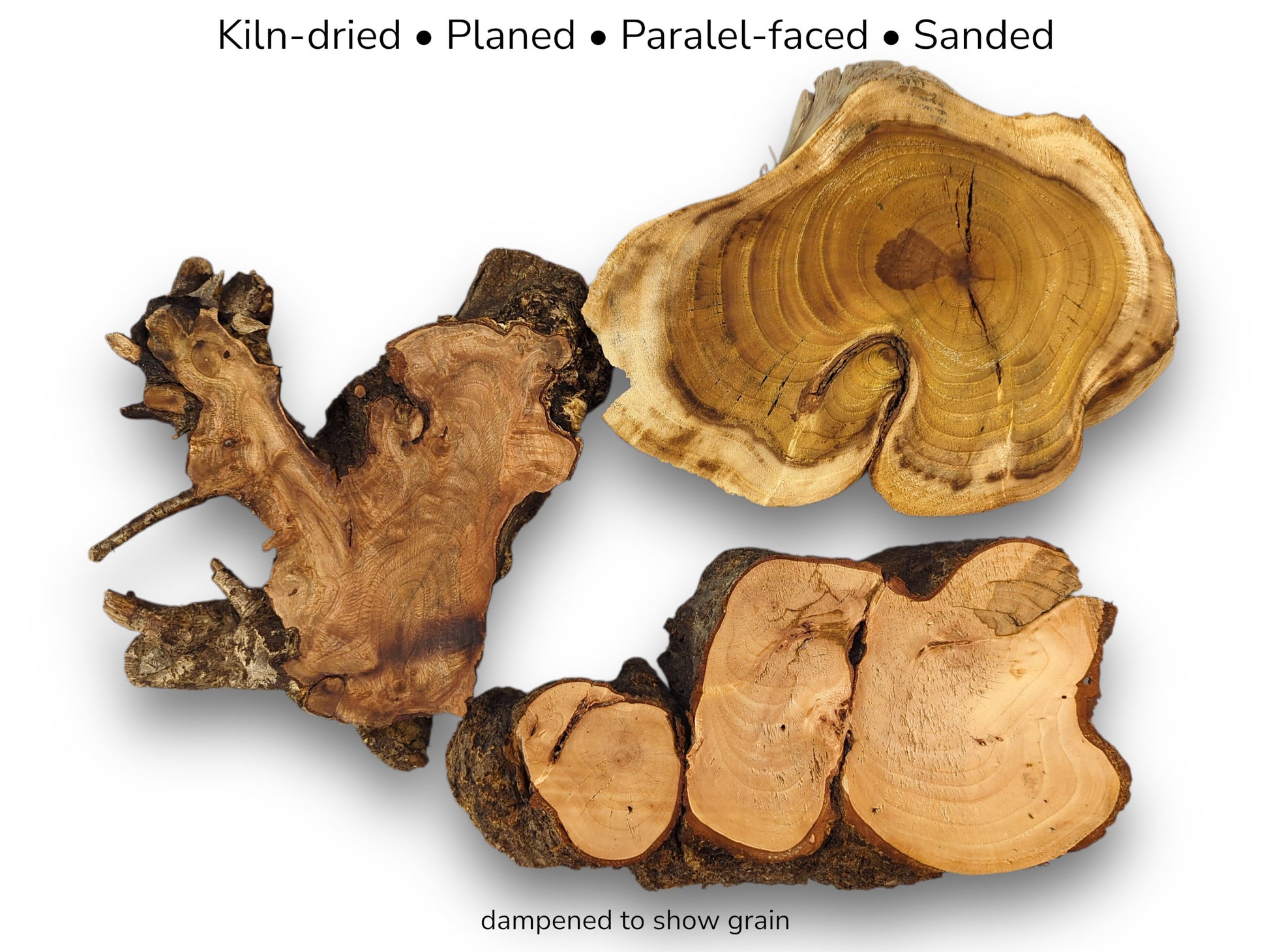 A gnarled burl, a wide round, and a fused cluster show diverse wood grains.