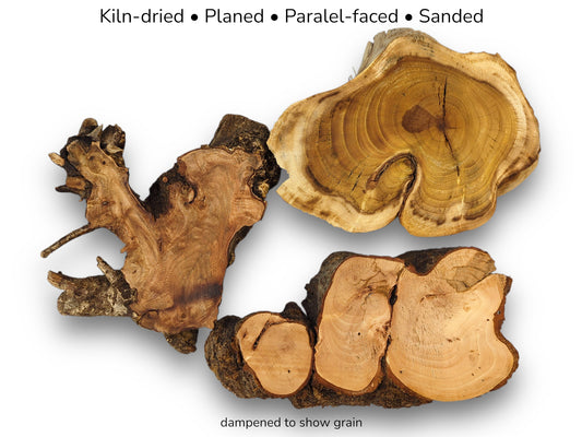 A gnarled burl, a wide round, and a fused cluster show diverse wood grains.