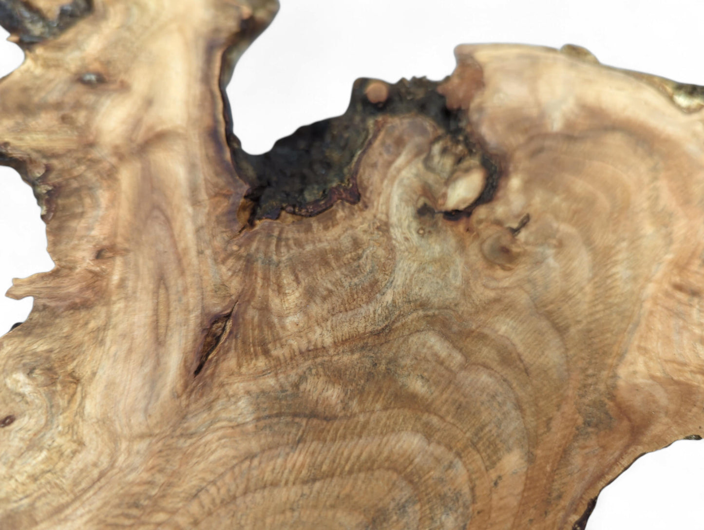 Close-up of an irregular, light brown wood slice displaying intricate grain patterns and a rough live edge.