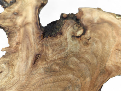 Close-up of an irregular, light brown wood slice displaying intricate grain patterns and a rough live edge.