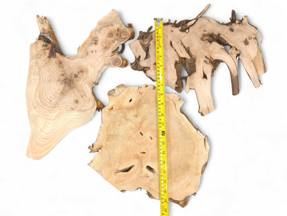 Three irregular light-colored wood slices with live edges and visible grain, vertically measured.