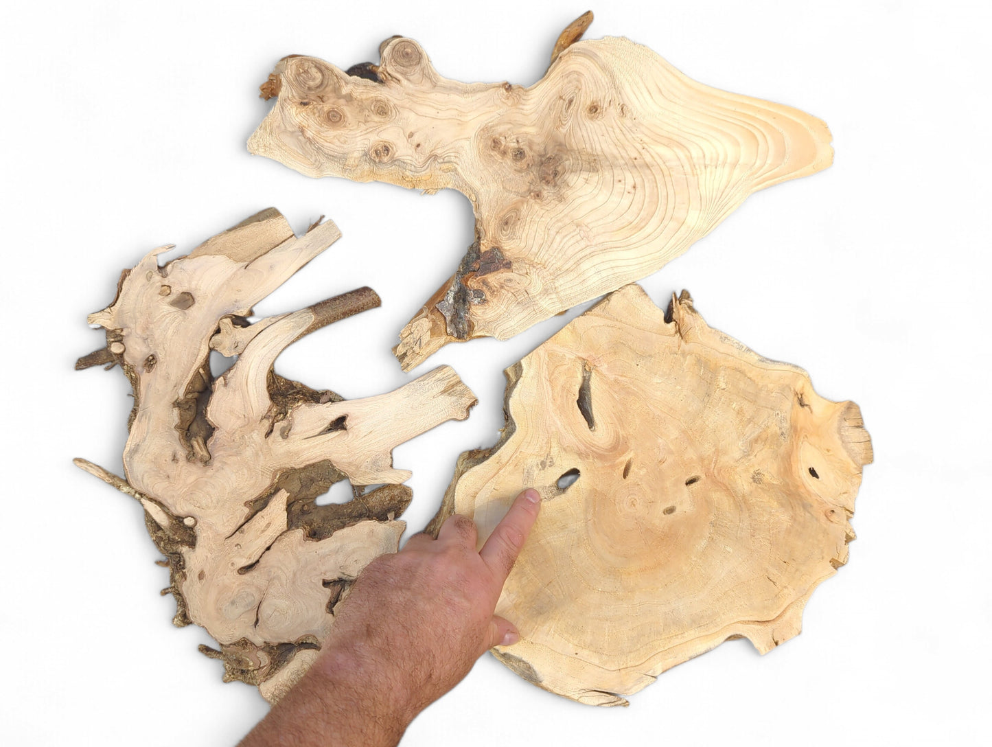 A hand points to three irregular, light wood slices showing natural grain, knots, and live edges.