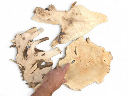 A hand points to three irregular, light wood slices showing natural grain, knots, and live edges.