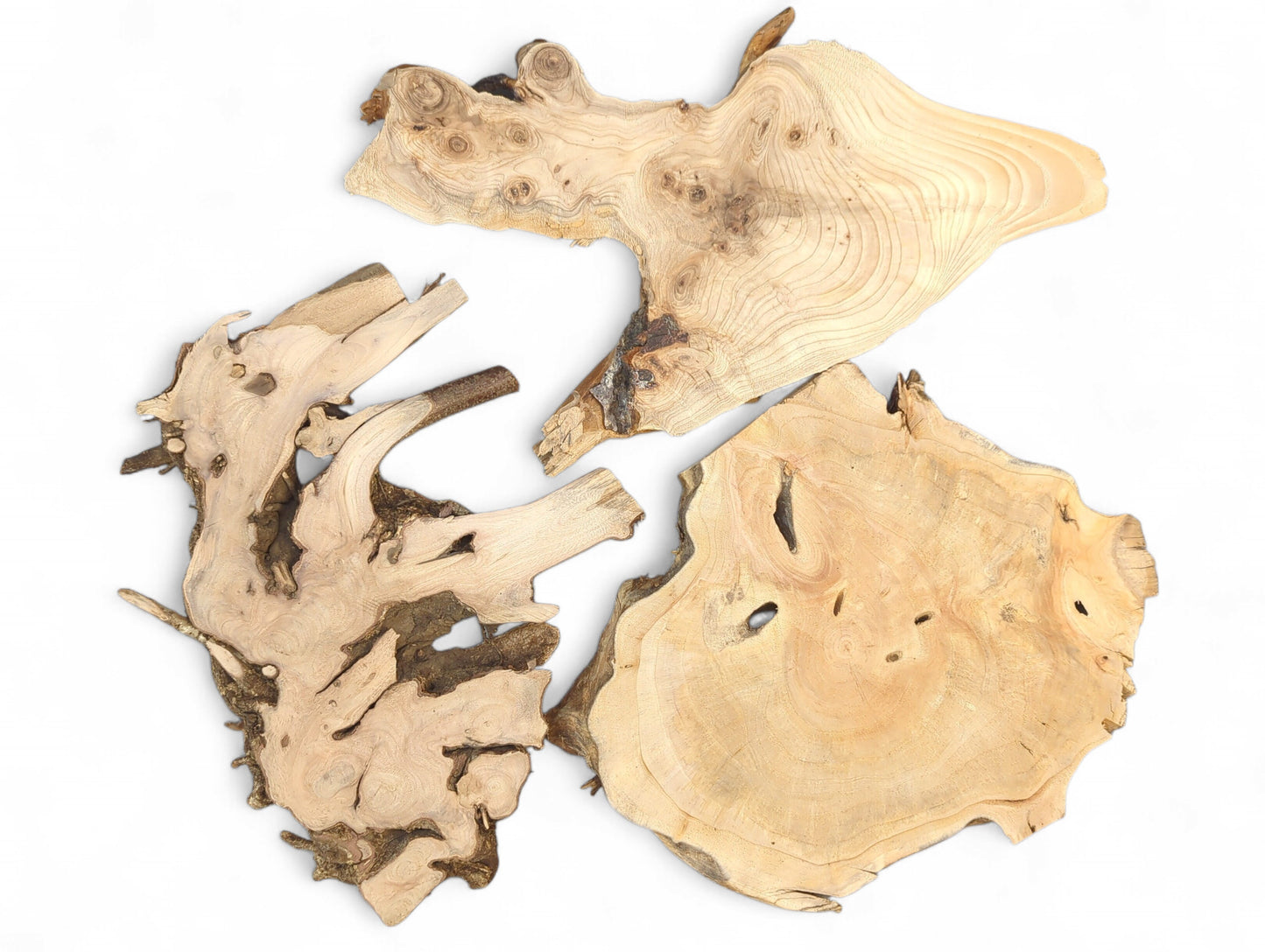 Unfinished wood slices: three light-colored, organically shaped pieces displaying intricate grain patterns and knots.