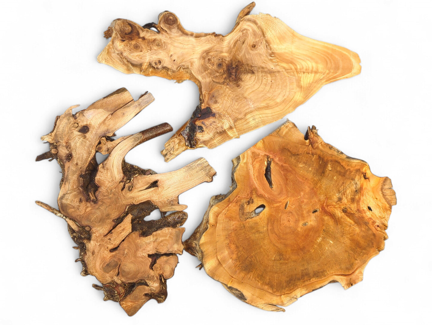 Set of three raw wood slices, organically shaped, displaying prominent grain and live edges.