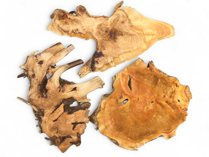 Set of three raw wood slices, organically shaped, displaying prominent grain and live edges.