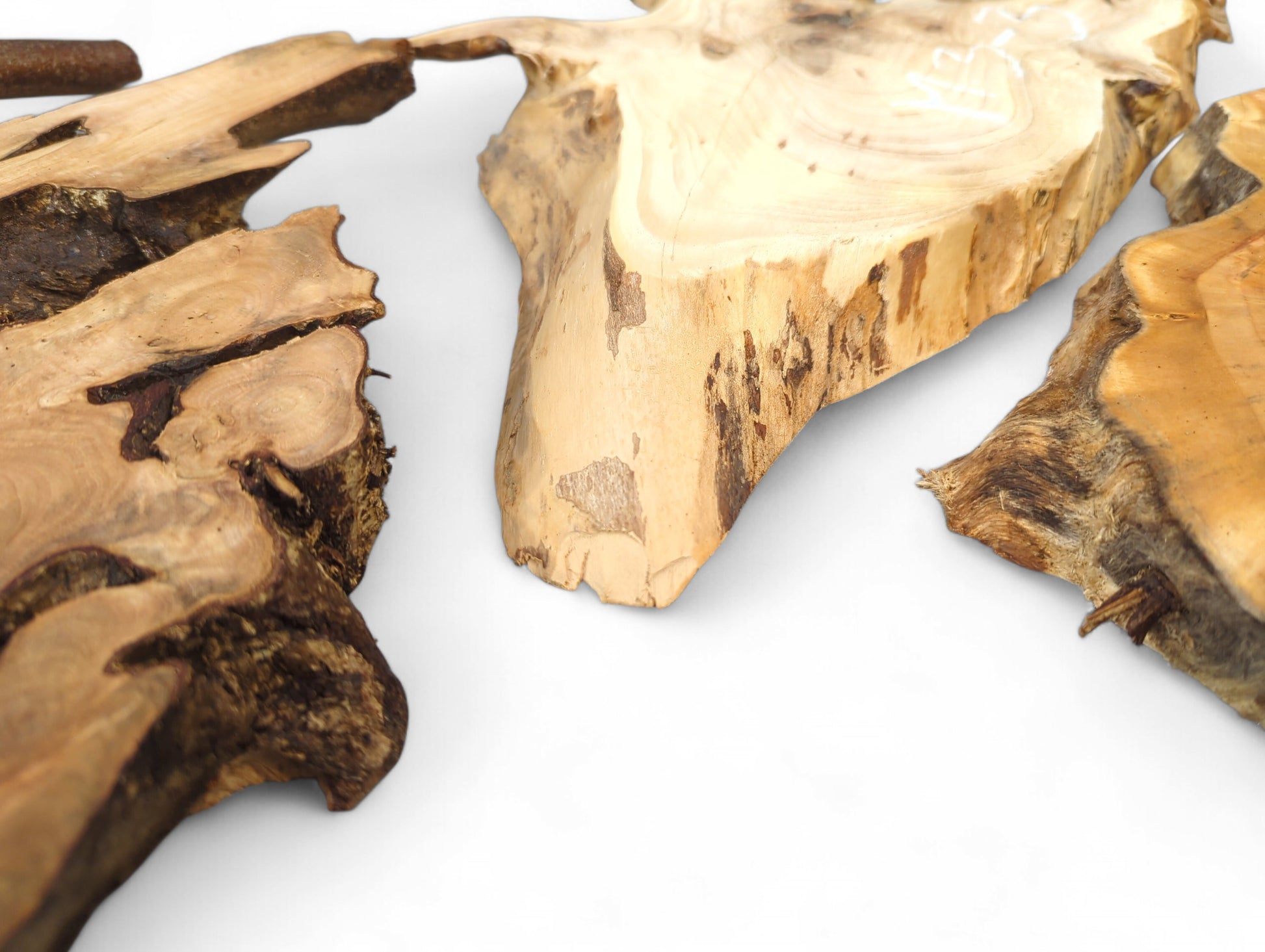 Distinct irregular wood slices, light and dark brown, show natural grain, sanded surfaces, and live edges.
