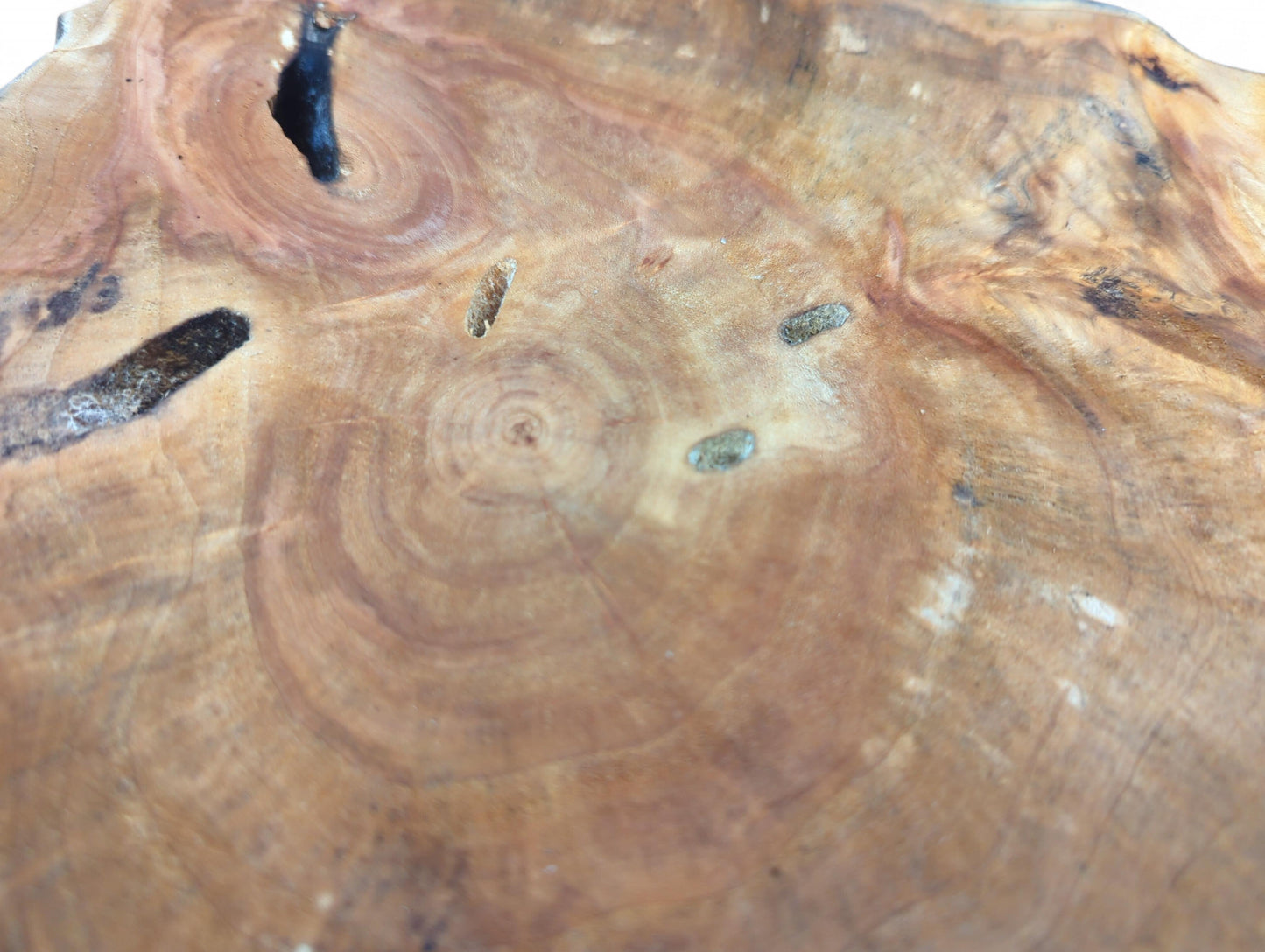 Sanded brown wood slice displays concentric growth rings, two dark holes, and natural grain patterns.