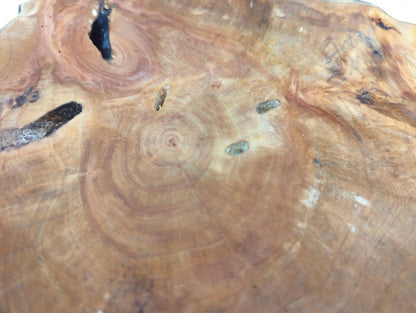 Sanded brown wood slice displays concentric growth rings, two dark holes, and natural grain patterns.