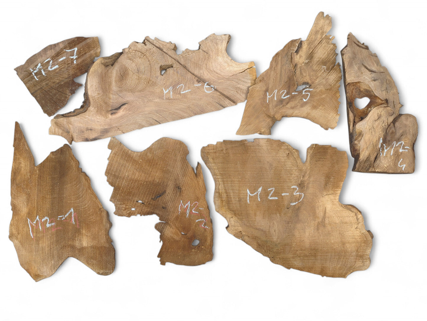 Irregular light brown walnut wood slices, seven in total, displaying grain, live edges, and white labels.