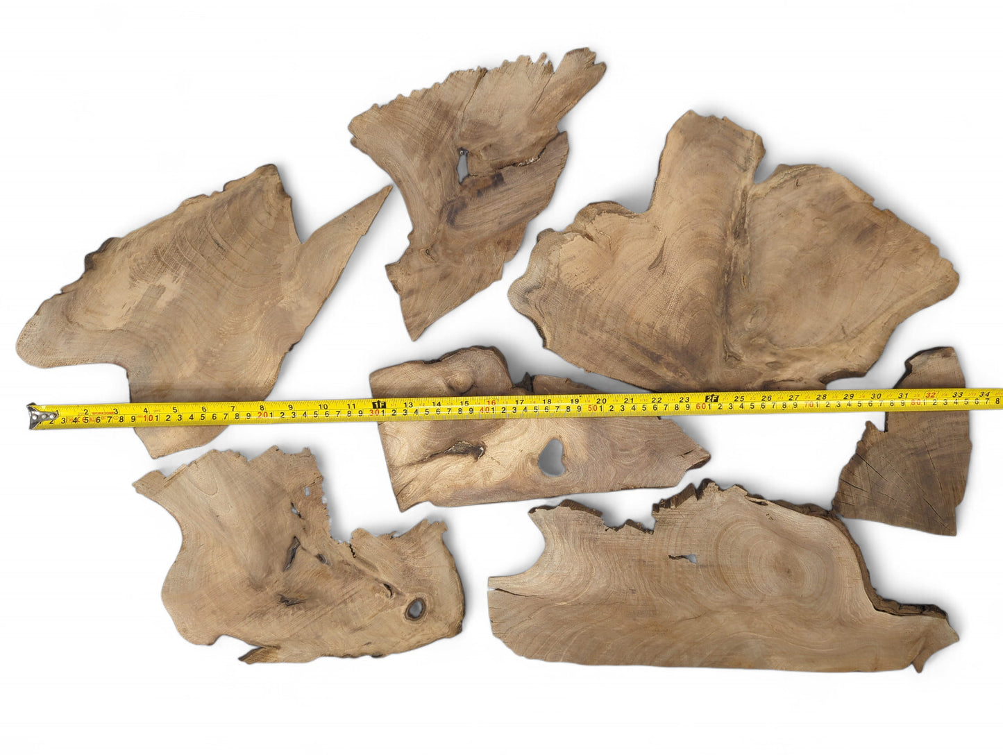 Various irregular light brown walnut wood slices with visible grain and live edges, with a yellow measuring tape.