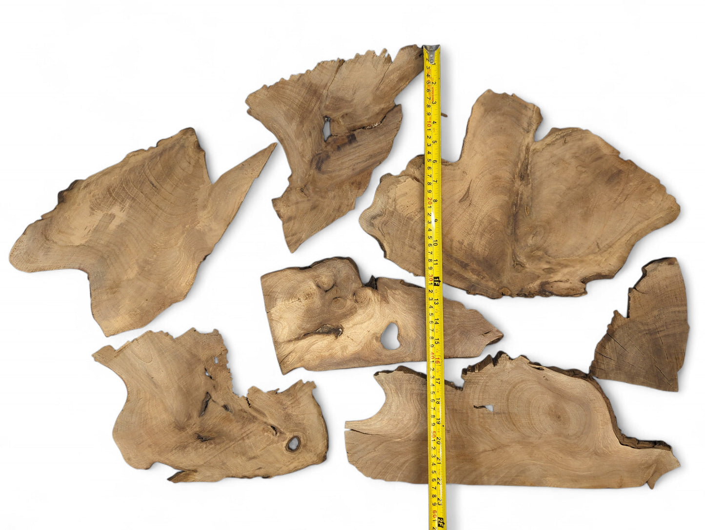 Seven brown, raw walnut wood slices with live edges, prominent grain, natural voids, and a measuring tape.