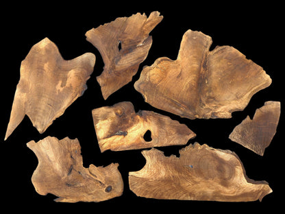 Seven raw, very thin, golden-brown walnut wood slices with irregular live edges and grain.