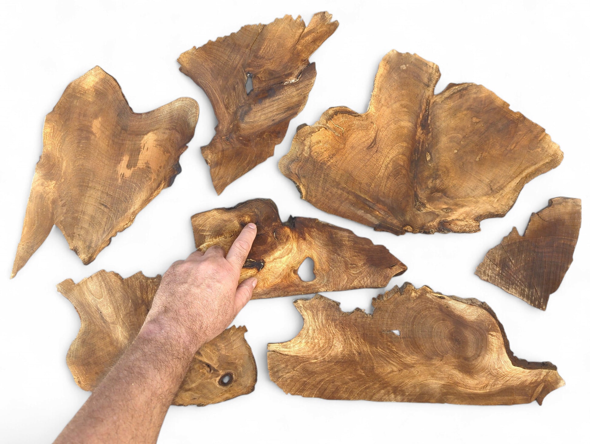 Scattered, thin, golden-brown walnut wood slices with irregular live edges and visible grain; a hand points.
