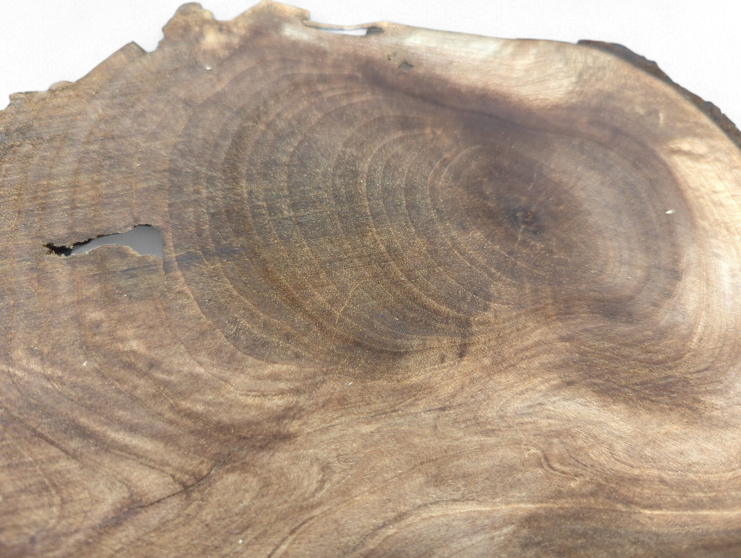Close-up of a multi-toned brown walnut wood slice showing irregular live edges, prominent grain, and a small void.