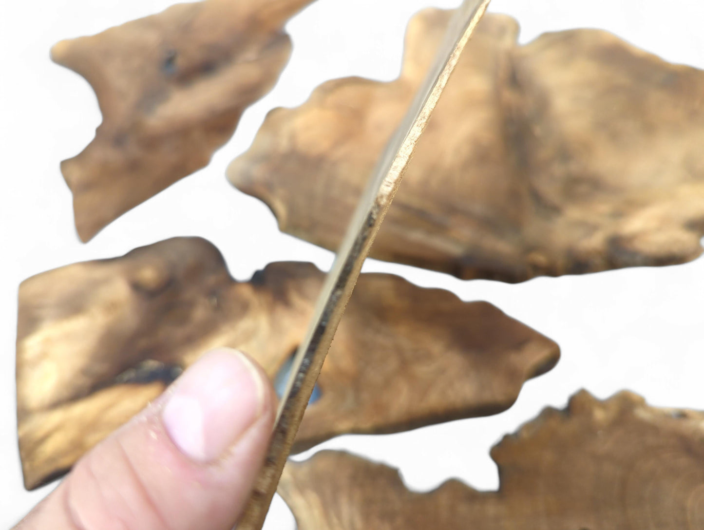 A hand grips a very thin, golden-brown walnut wood slice, showing its distinct irregular outline.