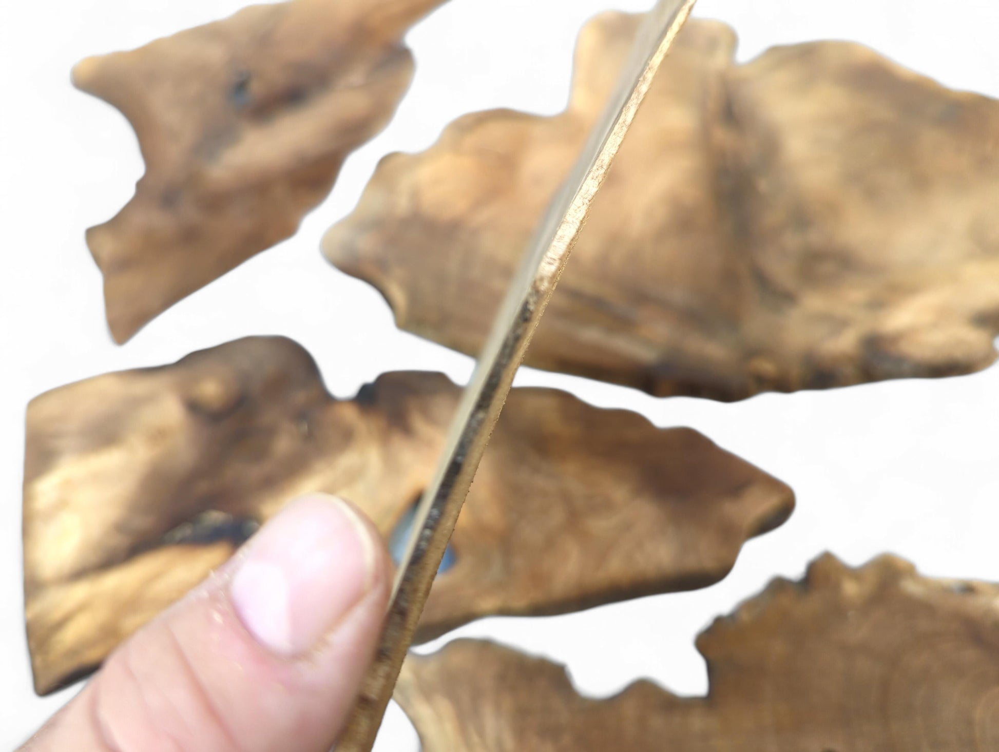 A hand grips a very thin, golden-brown walnut wood slice, showing its distinct irregular outline.