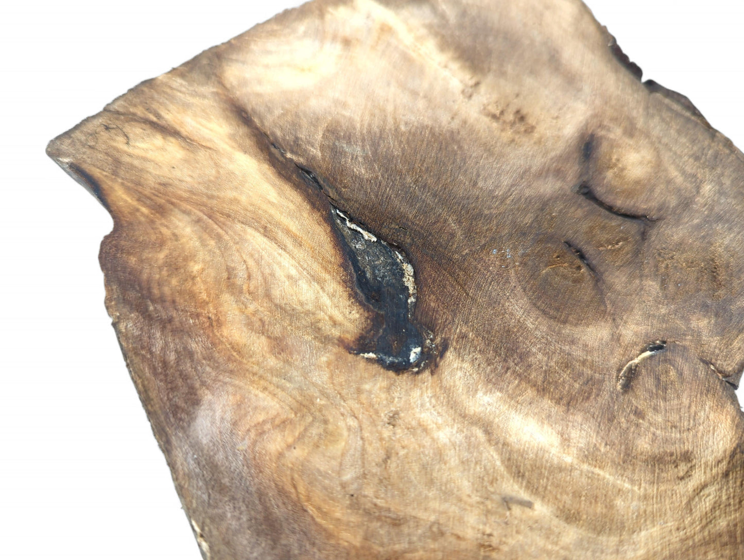 One thin, multi-toned brown walnut wood slice displaying prominent grain, a dark void, and irregular edges.