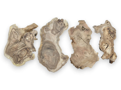Four irregularly shaped, light-colored wood slices with prominent grain, knots, and cracks.