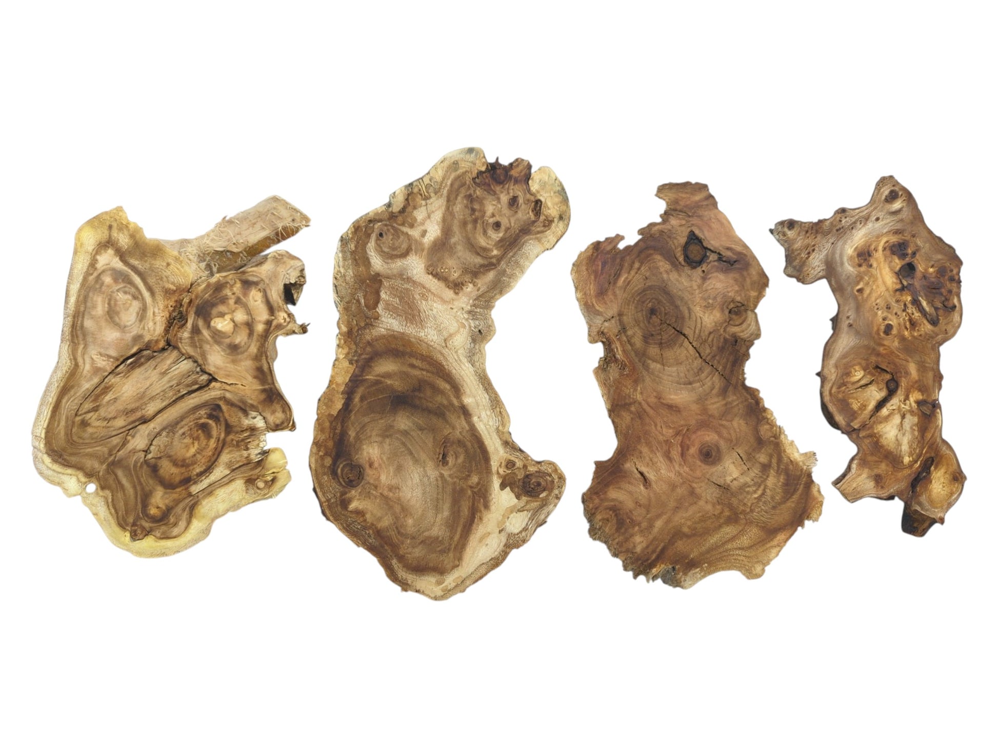 Four irregularly shaped, natural mulberry wood slices with prominent grain, knots, and cracks on white.