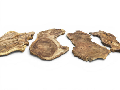 Four irregularly shaped, light brown wood slices with visible grain, knots, and cracks on white.