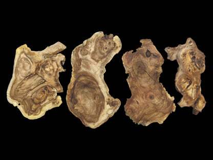 Four natural, irregularly shaped wood slices with visible grain, knots, and cracks on a black background.