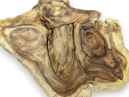 Close-up of a single, irregularly shaped wood slice with prominent grain and cracks.