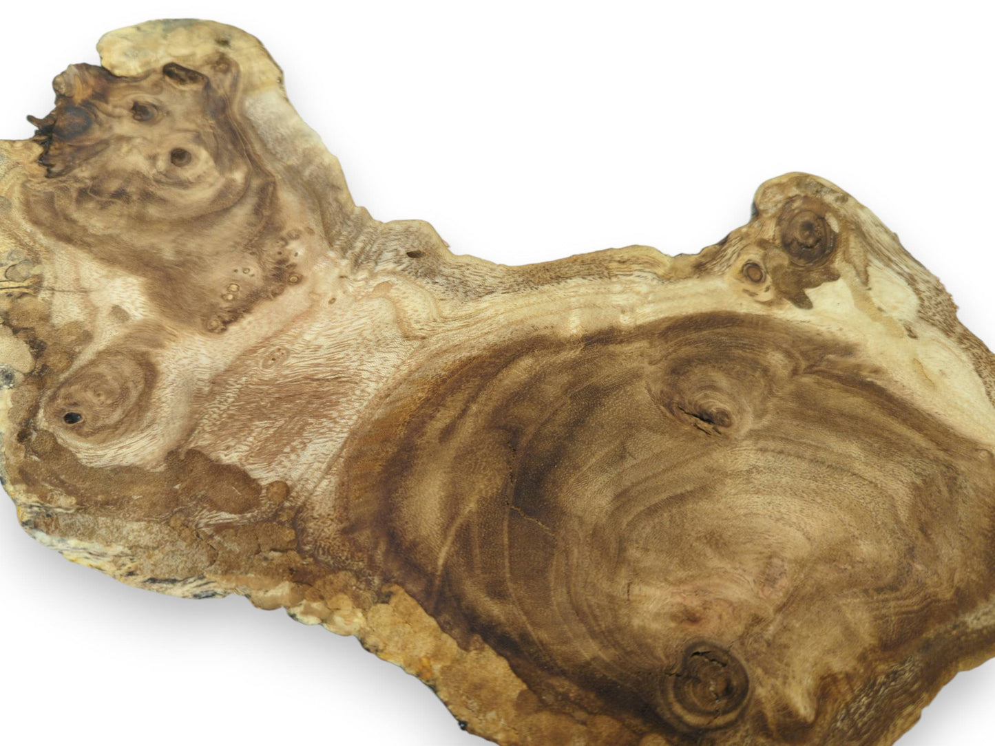 Close-up of a single, irregularly shaped mulberry wood slice with prominent grain and knots.