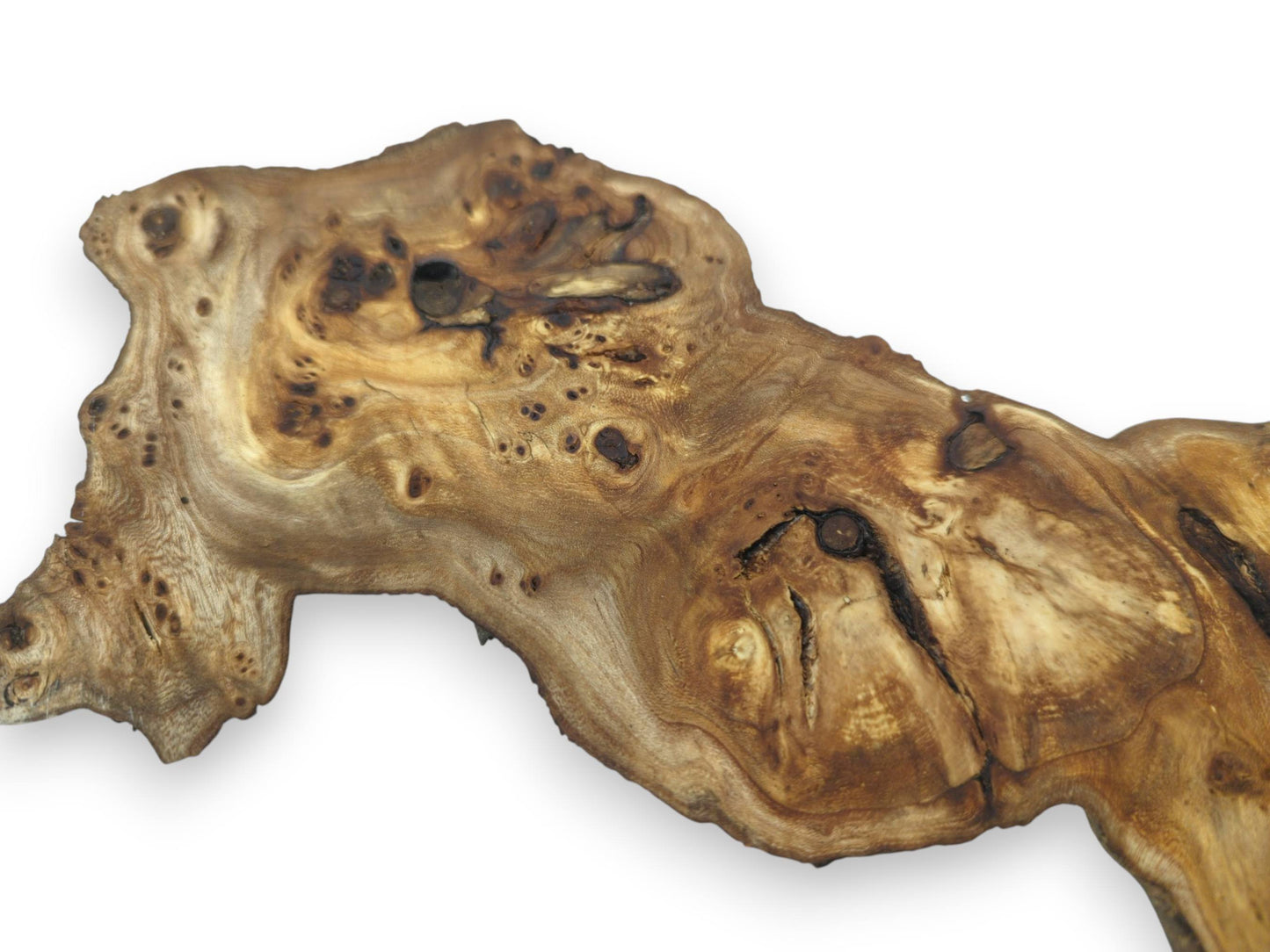 Close-up of a single, irregularly shaped mulberry wood slice with prominent grain and knots.