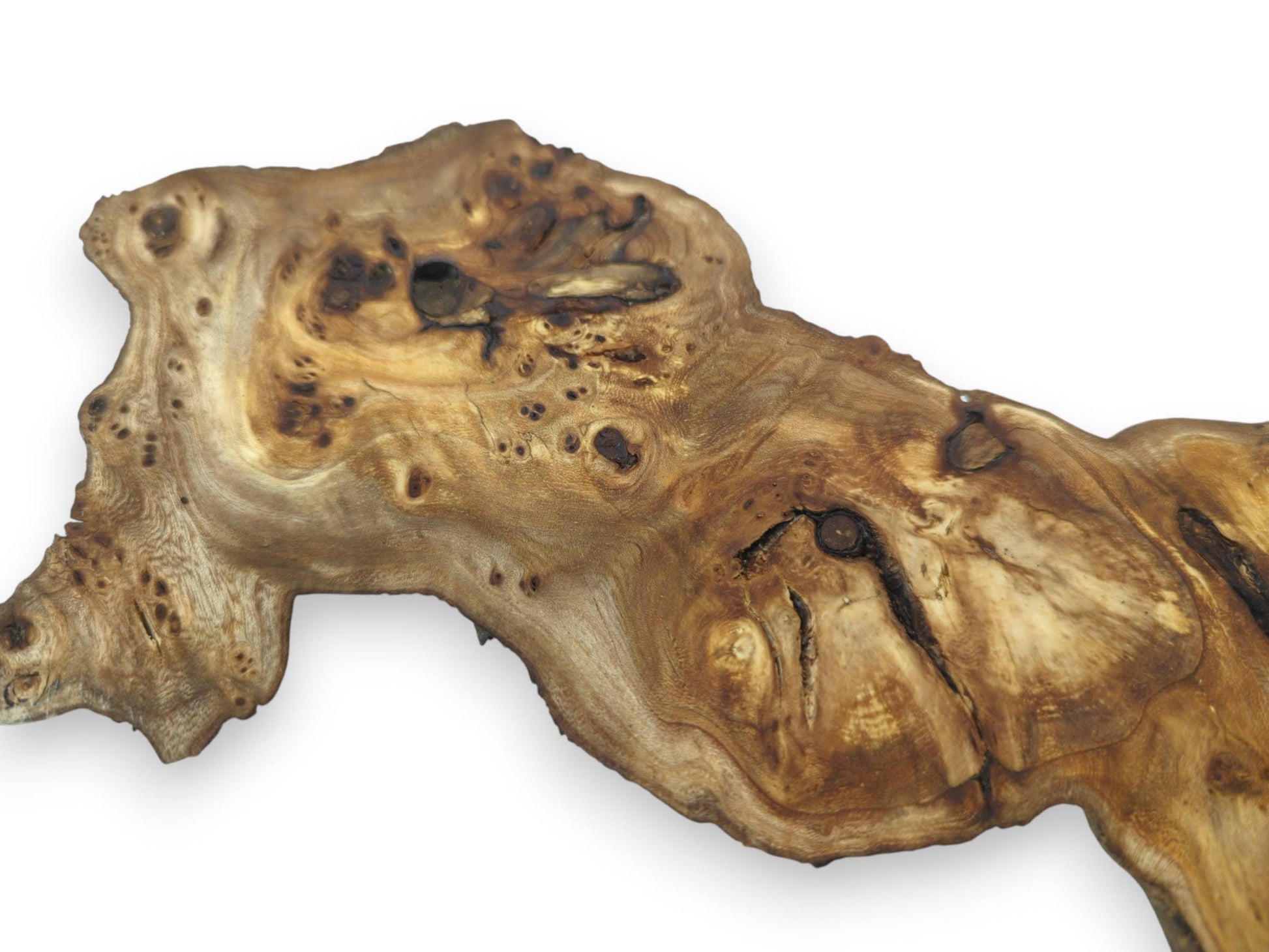 Close-up of a single, irregularly shaped mulberry wood slice with prominent grain and knots.