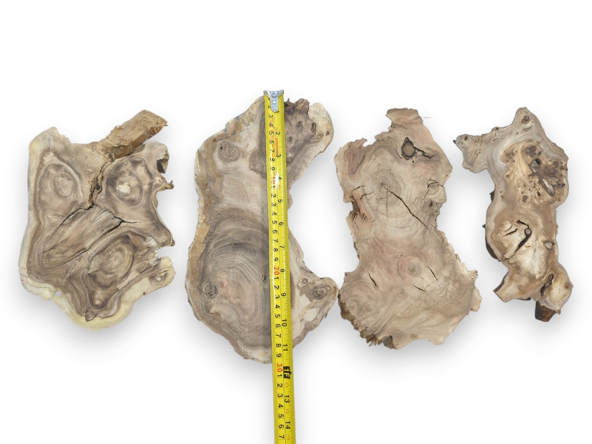 Four irregularly shaped mulberry wood slices with prominent grain, knots, and cracks, measured.