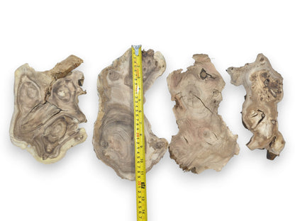 Four irregularly shaped mulberry wood slices with prominent grain, knots, and cracks, measured.