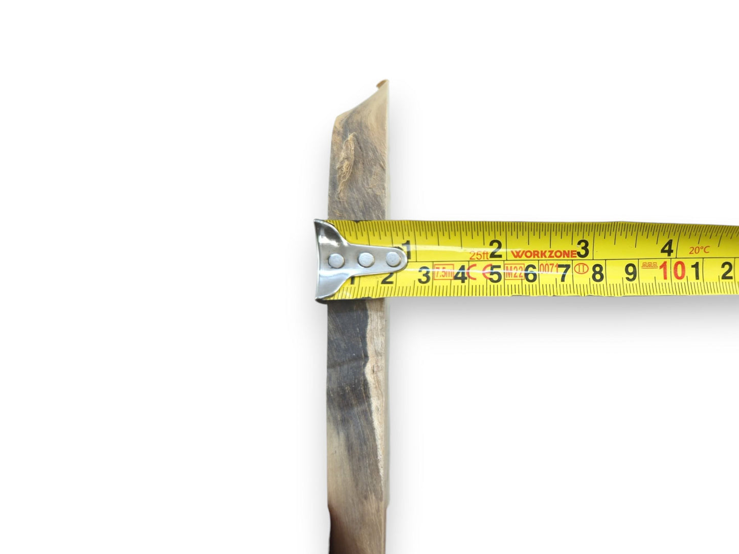 A single, narrow, light and dark wood slice with a measuring tape across its width.