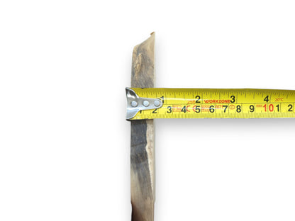 A single, narrow, light and dark wood slice with a measuring tape across its width.