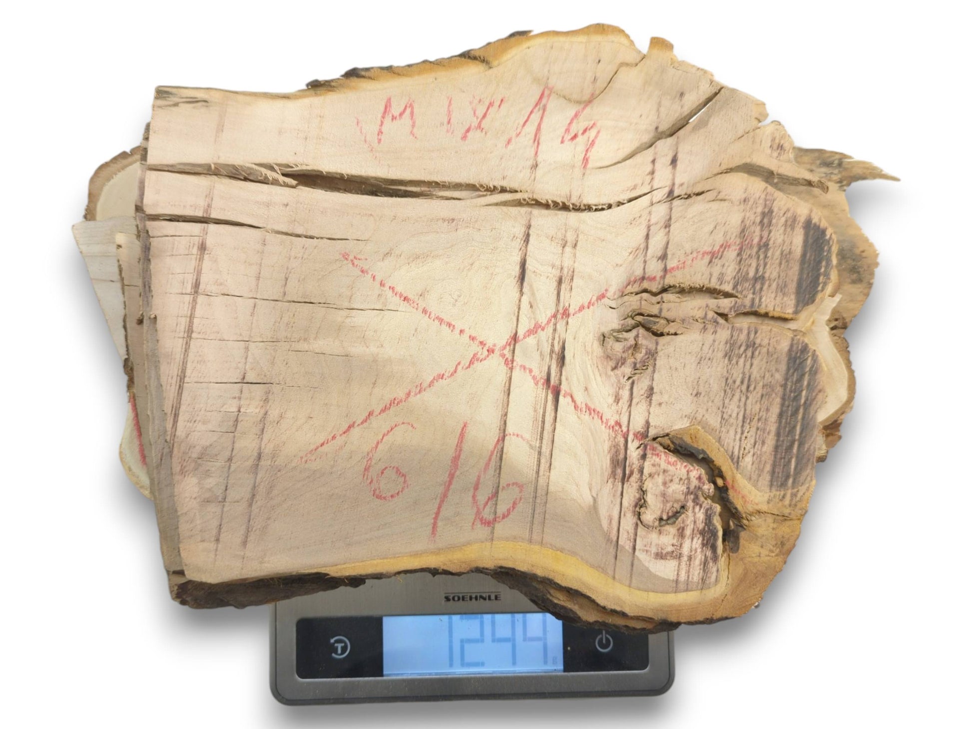 A thick, light-colored cherry alder wood slice with natural live edges and red markings on a scale.