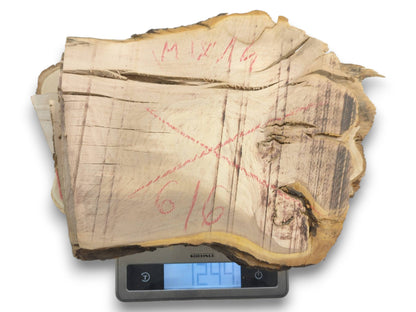 A thick, light-colored cherry alder wood slice with natural live edges and red markings on a scale.