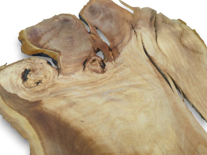A close-up of a light-colored cherry alder wood slice with natural live edges and knots.