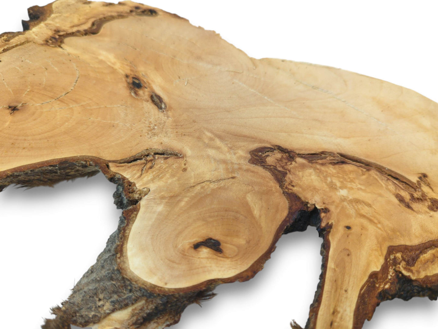 Close-up of a light-colored, irregularly shaped cherry alder wood slice with visible growth rings.