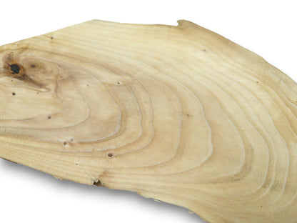 A light-colored, irregularly shaped cherry alder wood slice with visible growth rings and knots.