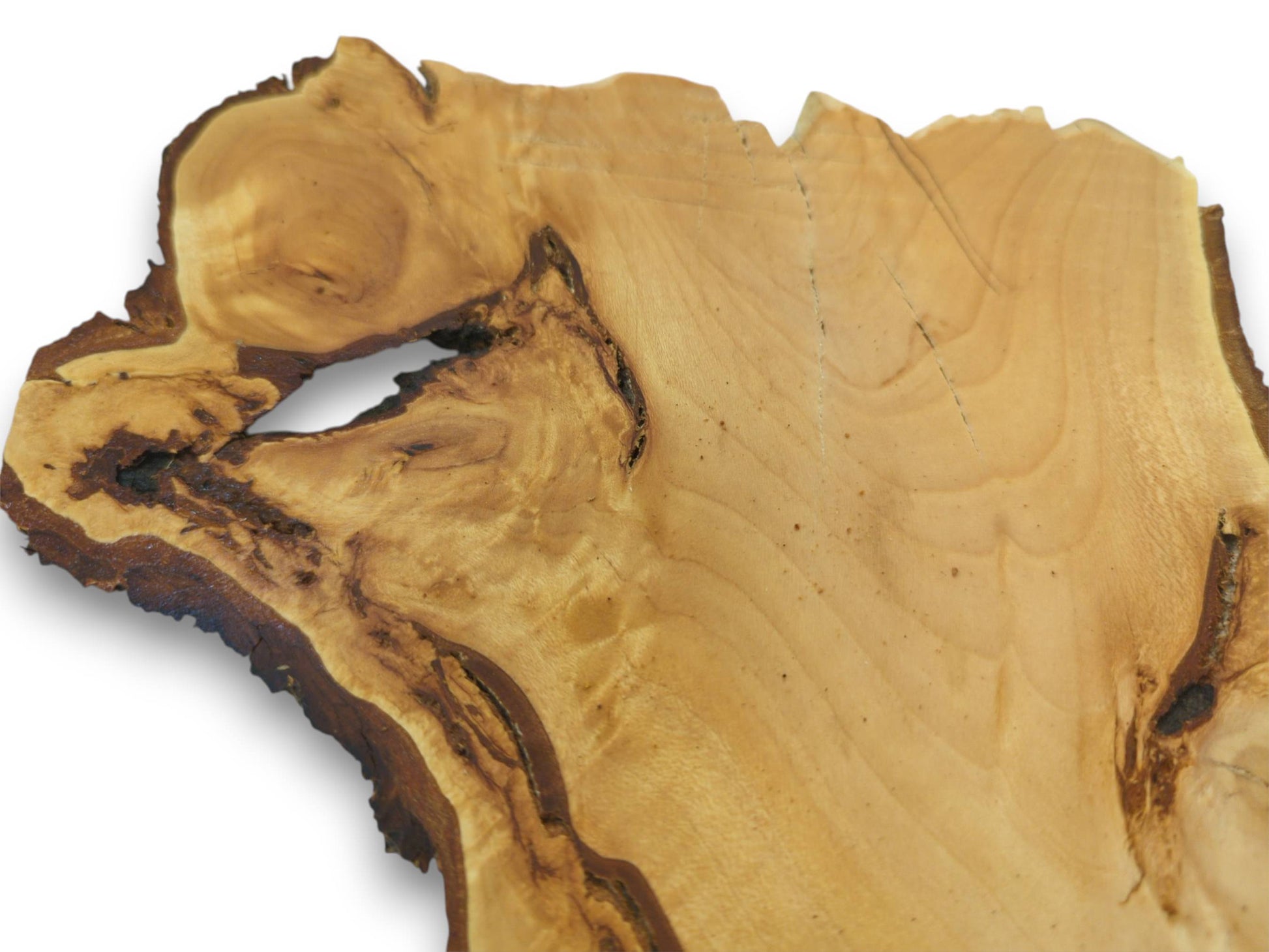 Close-up of a light-colored cherry alder wood slice with a natural live edge and a large knot.
