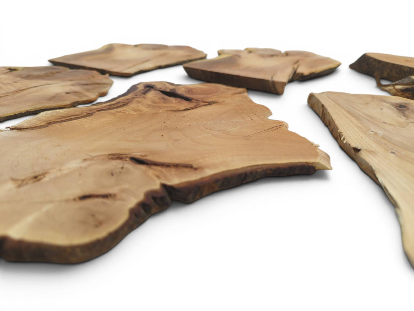 Multiple light brown cherry alder wood slices with natural live edges on a white surface.