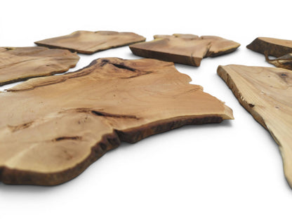 Multiple light brown cherry alder wood slices with natural live edges on a white surface.
