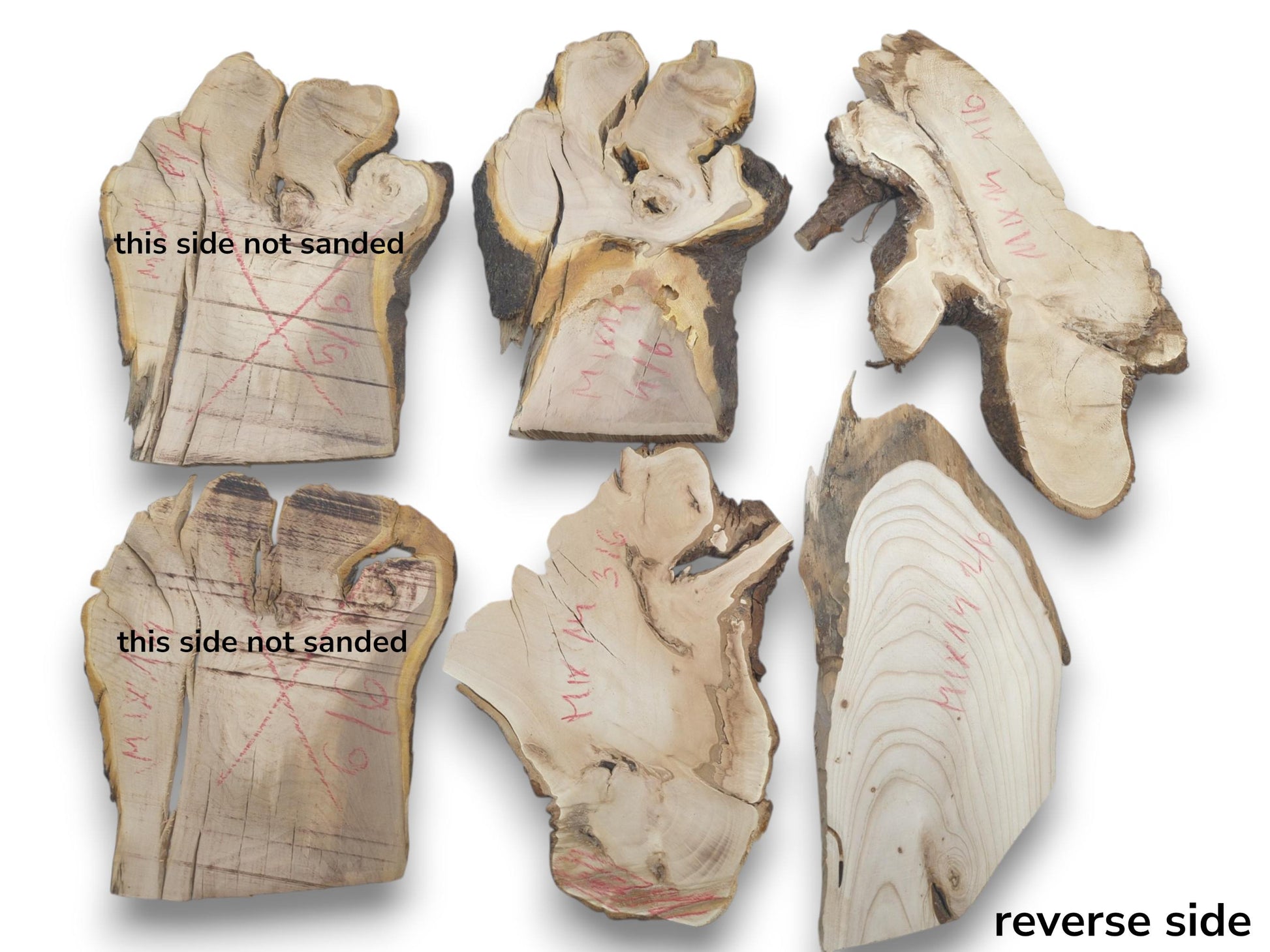 Six irregularly shaped cherry alder wood slices, some with bark, on a white background.